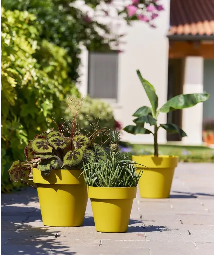 Mitu pac - Pot with holes - Euro3plast S.p.A.