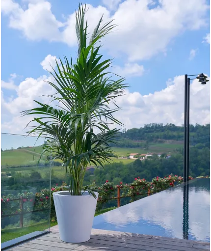 KUNO ANTARTIKA