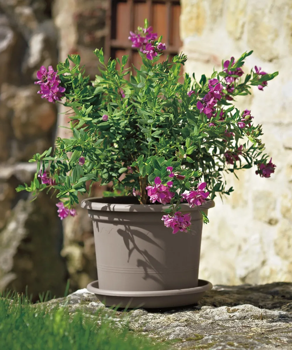 Dessous de pot ø 45 cm anthracite | Leroy Merlin Dessous de pot ø 45 cm anthracite | Leroy Merlin