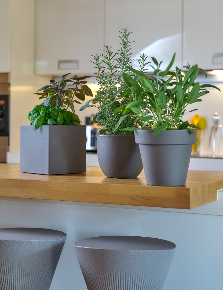Euro3plast | Plastic pots, planters, exterior and interior decoration